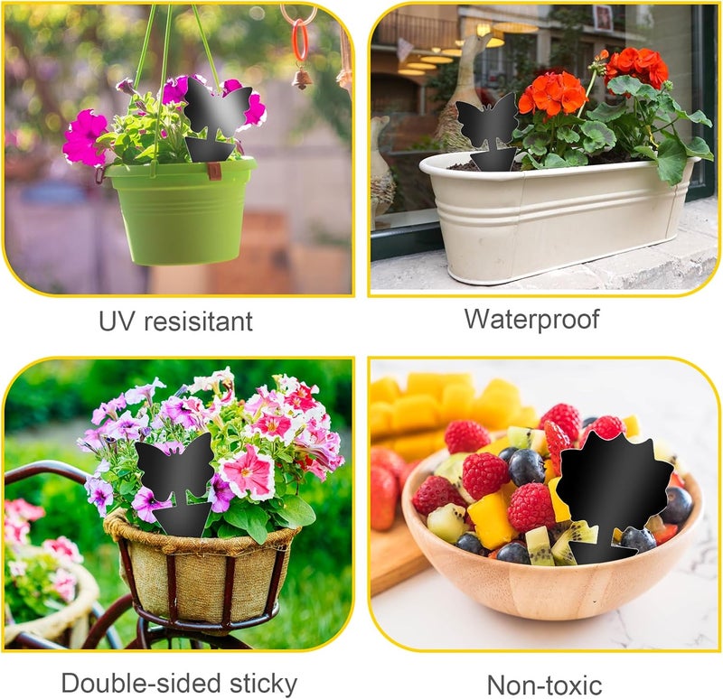 Boromine Fruit Fly Traps, 100 Pack Black Sticky Traps, Fungus Gnat Traps, Plant Fly Stickers for Indoor and Outdoor Use Protect The Plant - Image 5